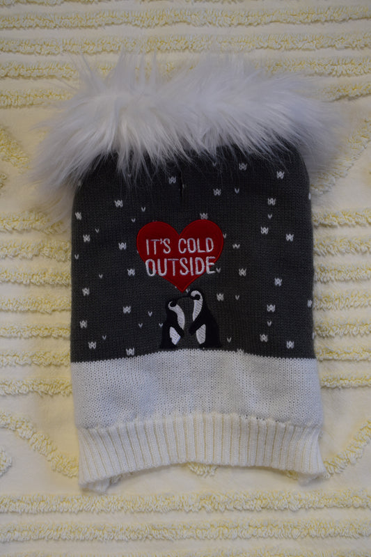 "Its Cold Outside" XS Dog Sweater