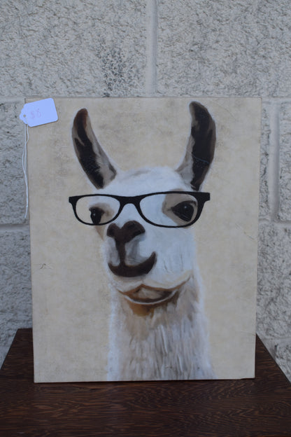 Alpaca Canvas Photo