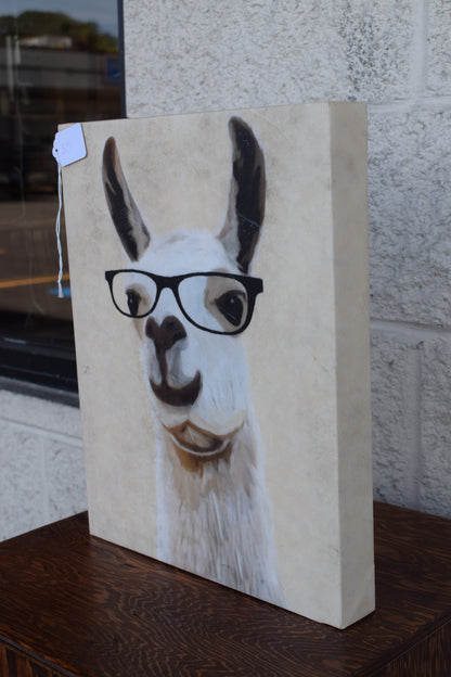 Alpaca Canvas Photo