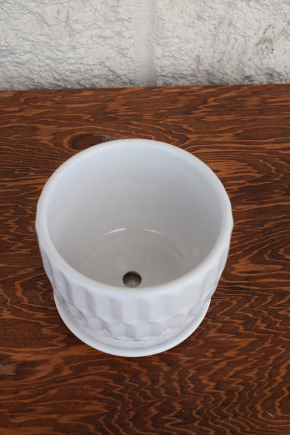 Small White Plant Pot